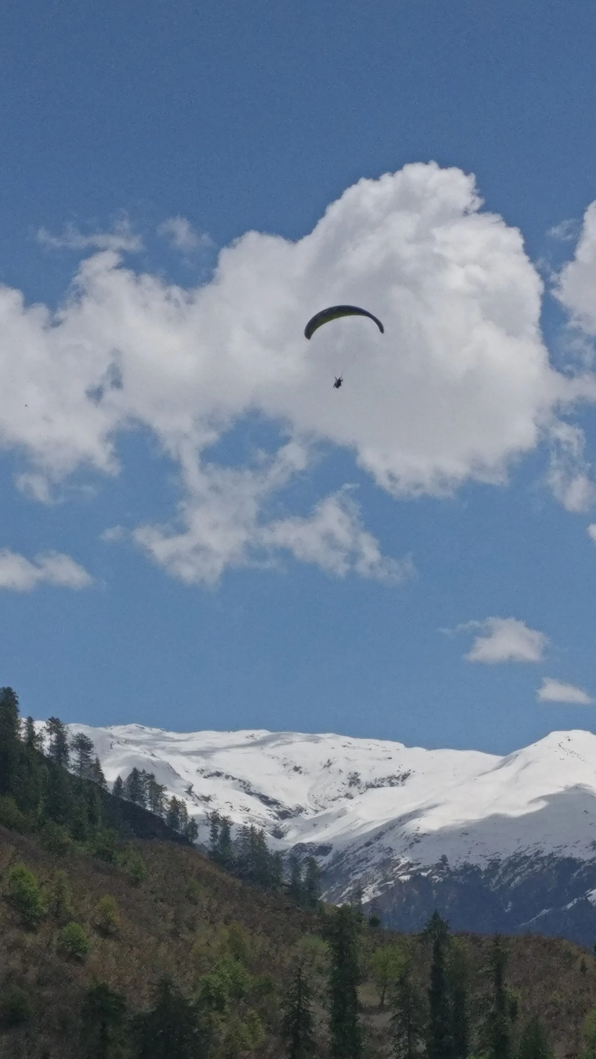 Family Packages — Himachal Pradesh tour by Shimla Manali Tourism
