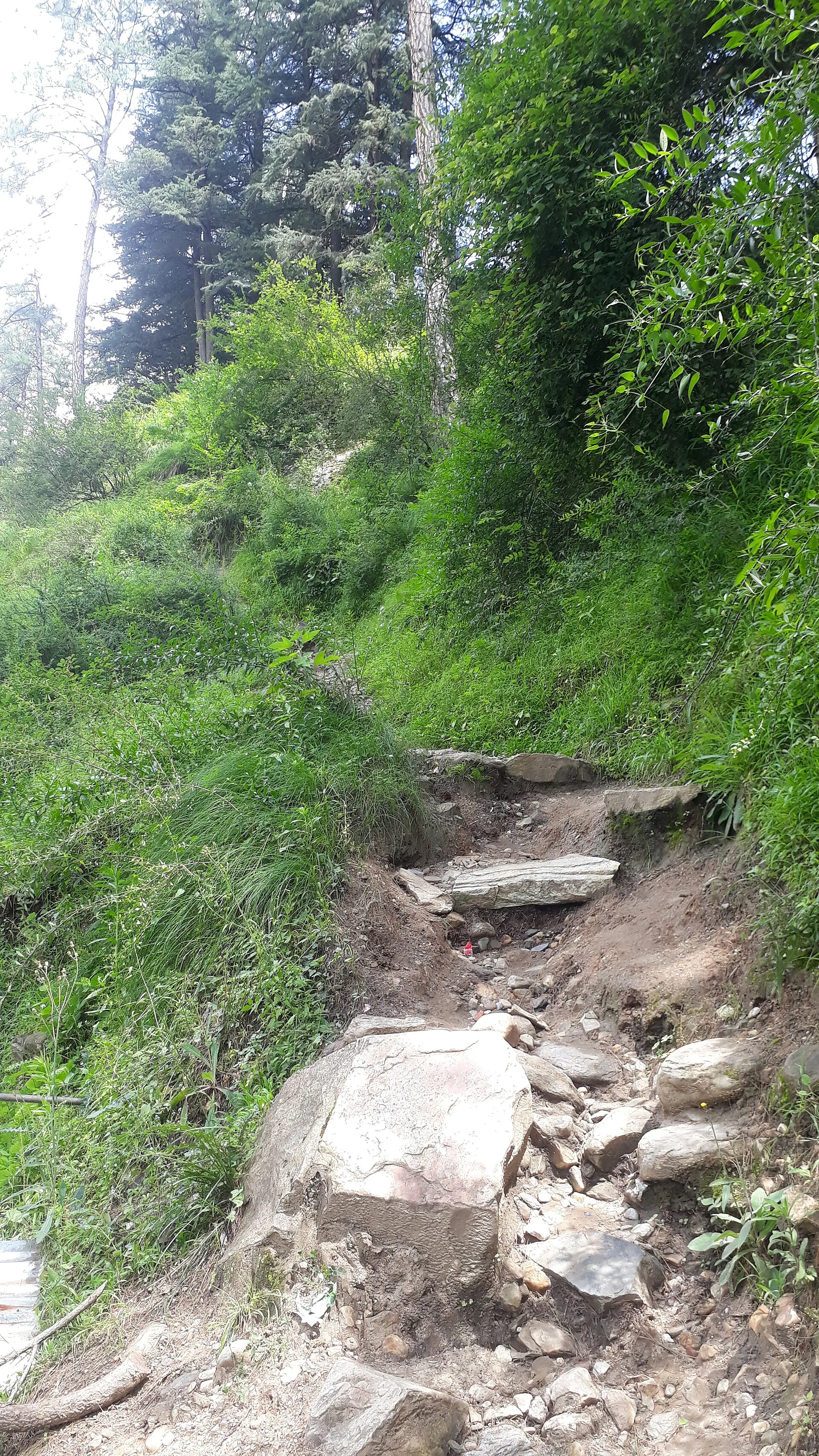 Kasol & Kheerganga, Himachal Pradesh — Pine Forests & Hot Springs of Parvati Valley